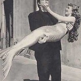 哀绿绮思