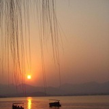 吹落星如雨