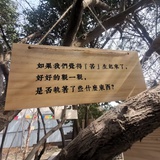 芸薹