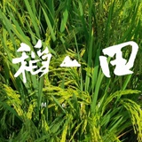 「。小敏」