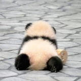 hongongng