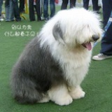 记得记不得