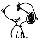 韶华白首