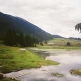 山涌