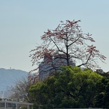 我是奈可