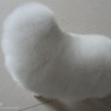 整尖错
