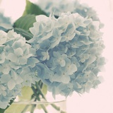 grace