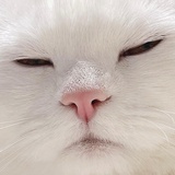 𝚃𝚑𝚎𝟶𝚞𝚝𝚜𝚒𝚍𝚎𝚛.