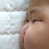 蟹胖胖