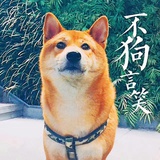 夏虫不可语冰啊