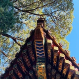 大白