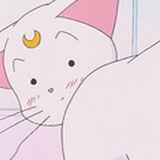 妮妮风暴烈酒