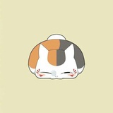 哒哒zhang