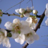 winnie小婉