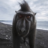 Zedgar