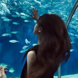 Manta