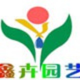 花卉种子公司