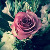 Cecile_xmy