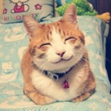 chinadolljess