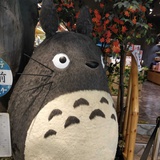龙眠大道 隐