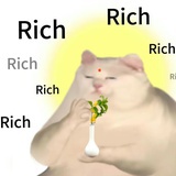 口贩子肥猫