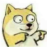庄不言