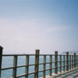 vanewei