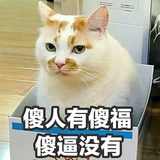 纪笃