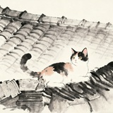 屋顶上的猫