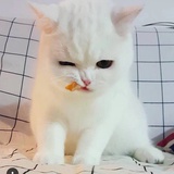 晴天漫雪