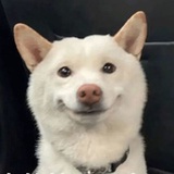 qazxftgbjik