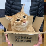 豆芽菜头_