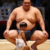 枞哥