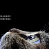 魑魅魍魉颦蹙