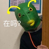 豆友35061203