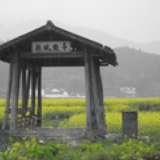 淼焱