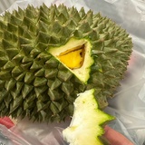 修