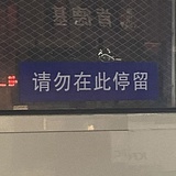 常温带鱼