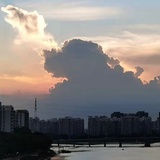 丸仔