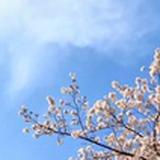 西湖边的乔伊斯