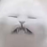 不上班的美男子