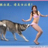 寂寞的上帝