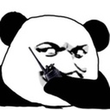未注销