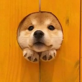 ゛蜜若塔