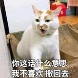 阳阳羊