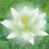 启航