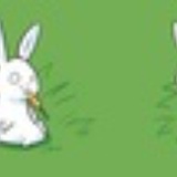 兔兔爱吃板栗