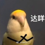 漆漆