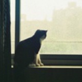 领导来了