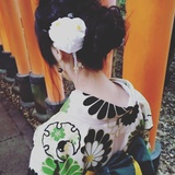 小さな百鬼夜行